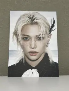 [匿名配送]straykids フィリックス DOIT 封入 フォトボード