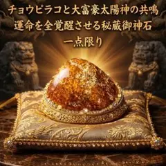 【最高位金龍神の息吹】チョウピラコと太陽神の共鳴 運命を全覚醒させる秘蔵御神石