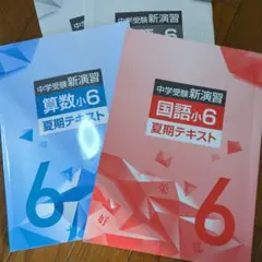 最新版中学受験新演習小学6年生夏季テキスト算数社会理科3教科セット Amazon.co.jp: 中学受験新演習小学6年生夏季テキスト算数社会理科3教科