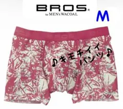 Item thumbnail for item 0b020463-b67f-4a74-8c0b-9f088896c1ac