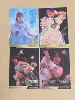 MARIGOLD 田中きずな 公式トレーディングカード 直筆サインカード 田中きずな #6 マリーゴールド ポートレート 直筆サイン入り