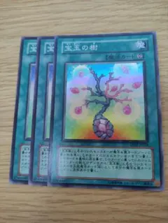 SOMA@断捨離中様 リクエスト 2点 まとめ商品