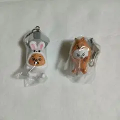 skzoo つまつな Leebit HAN QUOOKA　味噌