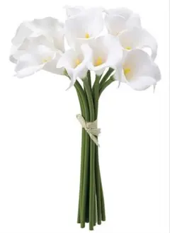 Item thumbnail for item 5f8cf59c-064c-49ec-8b3b-b740f4d667b8