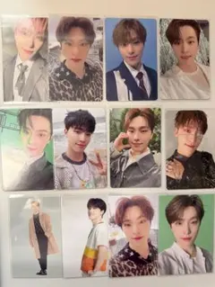 SEVENTEEN ディノ トレカ まとめ売り