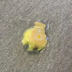 ケアベア　ふわふわしっぽチャーム　ファンシャインベア