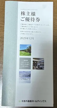 東急不動産ホールディングス 株主様ご優待券（500株分）