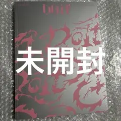 StrayKids スキズ　Do it ITver.