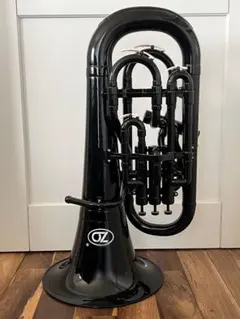 Item thumbnail for item 1840e05a-5f25-4769-a0db-b12e1fa6067b