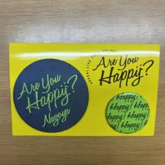 嵐 Are You Happy 会場限定グッズ　名古屋　缶バッジ