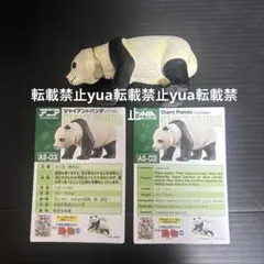 アニア　ジャイアントパンダ　フィギュア　AS-03 タカラトミー　動物のサムネイル