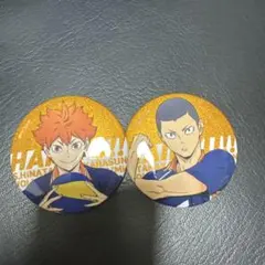 ハイキュー!! 缶バッジ 日向翔陽 田中龍之介