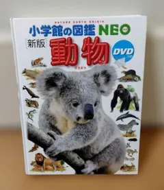 Item thumbnail for item d0df4b62-df1c-4f6a-8d10-ea73ba5cad5a