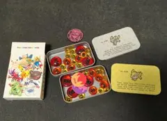 f*o様 【引退品】ポケモンカード　ダメカンケース、アクリルダメカン、マリィコイ