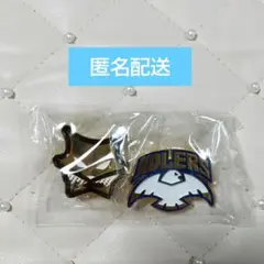 ハイキュー！10thクロニクル チームオフィシャルピンズ - メルカリ