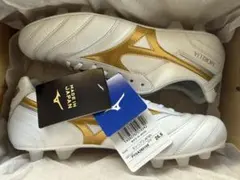 2025年最新】モレリア 25の人気アイテム - メルカリ