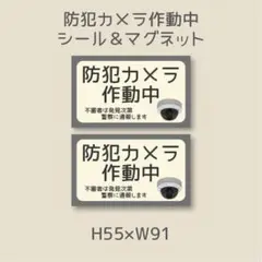 防犯カメラ作動中　不審者は発見次第警察に通報します　シール&マグネット