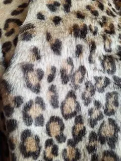 Item thumbnail for item 1e557915-b971-4483-9690-f73c130fab3b