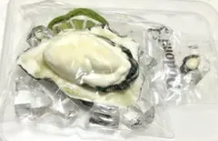 Dodomiスクイーズ 超リアル系　ライム・氷付き生牡蠣親子セット