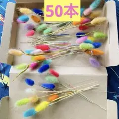 ドライフラワーラグラスミックスカラーM85本 - メルカリ