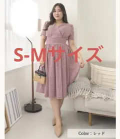 【試着のみ】CINEMATIQ チェックメアリーワンピ S-Mサイズ