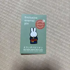 2026年最新】オランダ館ピンバッジの人気アイテム - メルカリ