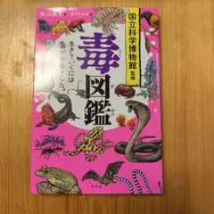 Item thumbnail for item 181bb225-3c82-4651-99a8-c81c7aa4593f