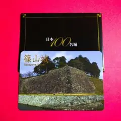 城郭カード・城カード【兵庫　篠山城】徳川家康：藤堂高虎：池田輝政：姫路城