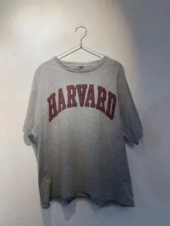 HARVARD ロゴプリント Tシャツ グレー XL