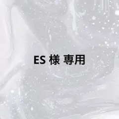 ES様専用ページ