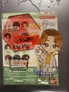 SEVENTEEN セブチ Petiteen アクスタ ジョシュア