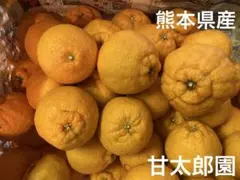 にこ様。専用です( ◠‿◠ )
