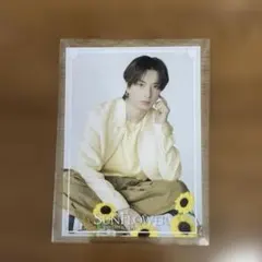 SUNFLOWER フォトカ FANTASTICS 木村彗人
