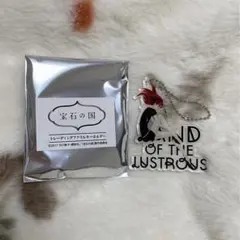 2026年最新】宝石の国キーホルダーの人気アイテム - メルカリ