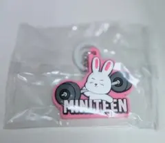 MINITEEN カプセルトイガチャ ぷっくりめじるしアクセサリー エスクプス