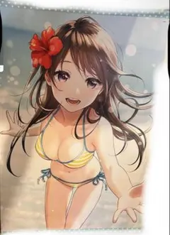 住乃絵紫苑 特大タペストリー ドルフィンウェーブ - メルカリ