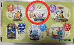 ピクミン テラリウムコレクション2 ②おうち探索