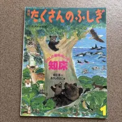 たくさんのふしぎ わたしの動物カレンダー知床