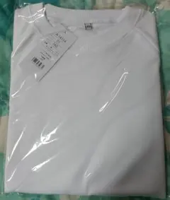 Item thumbnail for item 663b1015-f81c-45b2-9d32-b065e550f219