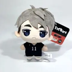 ハイキュー!! ぷちっしゅ！ vol.2 宮治