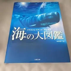 Item thumbnail for item c69a6659-2b43-4e43-8471-9afac43c79c2