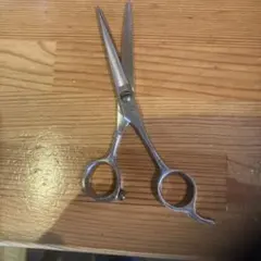 Item thumbnail for item c5832b5d-45c8-45b9-949a-b225403493d4