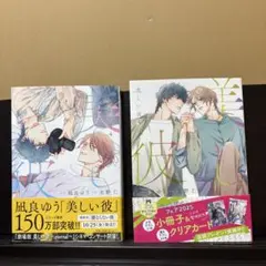 美しい彼4・5巻