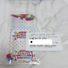サマフェス 半券 東京ジュニア 塗りつぶしなし