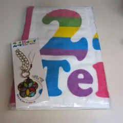 嵐　24時間テレビ36 タオル・チャーム