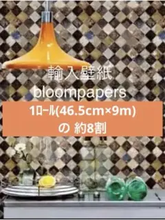 Item thumbnail for item 6e2b6cf9-6b63-4f0f-9c17-7ae5587ef51a