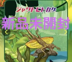 ジャングル&coビック