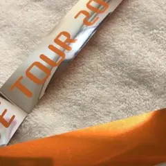 ジャニーズWEST 銀テ