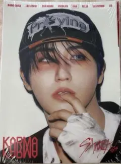 Stray Kids ハン KARMA