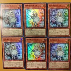 6枚　白き森のリゼット　スーパー